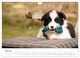 Thumbnail-12