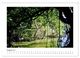 Thumbnail-13