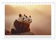 Thumbnail-12