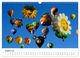 Thumbnail-13
