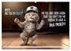 Thumbnail-14