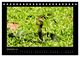 Thumbnail-14