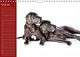 Thumbnail-11