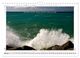 Thumbnail-9