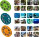 Thumbnail-3