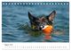 Thumbnail-10