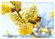 Thumbnail-14