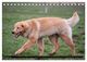 Thumbnail-10