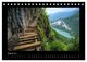 Thumbnail-10