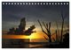 Thumbnail-13