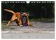 Thumbnail-10