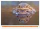 Thumbnail-9