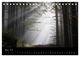 Thumbnail-9