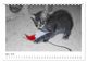 Thumbnail-9