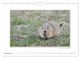 Thumbnail-14