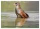 Thumbnail-12