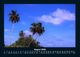Thumbnail-12