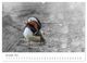 Thumbnail-12