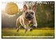 Thumbnail-10