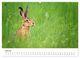 Thumbnail-12