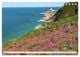 Thumbnail-13