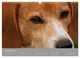 Thumbnail-14