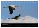 Thumbnail-14