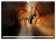 Thumbnail-12