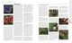 Thumbnail-15