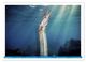Thumbnail-14