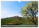 Thumbnail-9