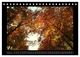 Thumbnail-12