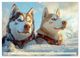Thumbnail-12