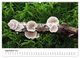 Thumbnail-10