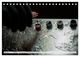 Thumbnail-12
