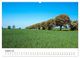 Thumbnail-9