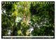 Thumbnail-10