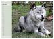 Thumbnail-11