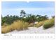 Thumbnail-11