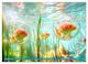 Thumbnail-14