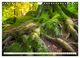 Thumbnail-9