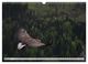 Thumbnail-8