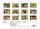 Thumbnail-4