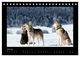 Thumbnail-11
