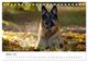 Thumbnail-12