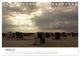 Thumbnail-12