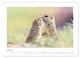 Thumbnail-12