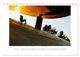 Thumbnail-13