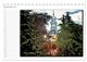 Thumbnail-14