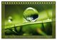 Thumbnail-9